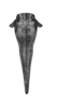 Cryptotettix imerina Rehn, 1930: Plate 17, Fig. 9 (after type). female pronotum, dorsal view (length 9.6 mm). (Otu).