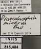 Other: !! display not done !! on Draeculacephala minerva Ball, 1927: Labels. Labels for the specimen used for the dorsal, lateral and face images. (Observation).