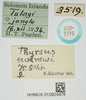 CollectionObject 1520715; 8ae6591d-52aa-4a70-8826-66921751bb27, NHMUK010924478: labels (syntype). (CollectionObject).