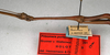 CollectionObject 1561117; NMW 571, 83f3fe11-c367-44e1-8288-50c9a788ce9d: copyright NMW, Vienna. male: head and thorax, lateral view (holotype). (CollectionObject).