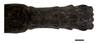CollectionObject 1596257; 9dfcb0ca-1af0-4198-8a27-0d52024f92dc: copyright NKUM Nankai. female: end of abdomen, dorsal view (holotype). (CollectionObject).
