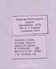 CollectionObject 1590326; 6016c7d3-d445-448d-bff1-eb2d09a73397: labels. (CollectionObject).