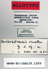 CollectionObject 1572643; 69796b14-0ba7-4462-8bcf-1963829382a8: labels (allotype). (CollectionObject).