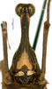 CollectionObject 1581855; d9dd3385-e52f-4cab-9ffb-828adf171e71: female, frontal view (paratype). (CollectionObject).