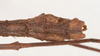 CollectionObject 1560457; 0ef1e3fc-0331-4f73-8d9e-cc8eb137cab9: copyright NMW, Vienna. male: end of abdomen, dorsal view (holotype). (CollectionObject).