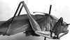 Metholce nigritarsis Walker, 1871: male, lateral view (Australia, Canberra). (Otu).