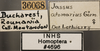 Other: !! display not done !! on Allygidius (Allygidius) atomarius (Fabricius, 1794): Labels. (Observation).
