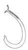 Aedeagus, lateral view on Polana (Culumana) torqua (DeLong & Freytag, 1972): Male: aedeagus, lateral view. (Observation).
