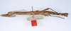 CollectionObject 1562343; c8b726ff-faaa-44ad-b8fa-713c02fe130c: copyright ZMUH, Hamburg. female, lateral view (syntype). (CollectionObject).