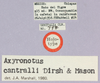 CollectionObject 1499384; 986542aa-0bb9-4902-a7bb-3dbbfef98788: labels (holotype). (CollectionObject).