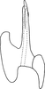 Aedeagus, lateral view on Erythridula brundusa (Robinson, 1924): Aedeagus, lateral view. (Observation).