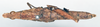 CollectionObject 1535547; a183472e-e191-482d-904f-16ae43e82347: female, dorsal view (holotype). (CollectionObject).