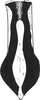 Connective on Ebarrius cognatus (Fieber, 1869): Connective. (Observation).