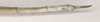 CollectionObject 1559064; 9c130f70-dfb2-439a-b847-574d280b5c2d: copyright OUMNH. female: end of abdomen, lateral view (holotype). (CollectionObject).