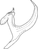 Aedeagus, lateral view on Eterna bifida Dworakowska, 2011: Aedeagus (E. bifida), lateral view. (Observation).