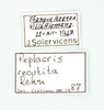 CollectionObject 1597832; 8580cf47-73c9-4884-a94d-71990d429bf6: male, labels. (CollectionObject).