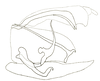 Male genital capsule, lateral view: Male genital capsule, lateral view. (Observation).
