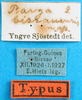 labels (holotype). Depicts CollectionObject 1501392; 29e785f2-6964-4f2e-b42e-ad448eb15c42, a CollectionObject.