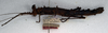 CollectionObject 1558172; 8948cf4d-207b-4e67-b86b-569924ea49cf: copyright NMW, Vienna. female, lateral view (syntype). (CollectionObject).;CollectionObject 1558173; 08870ce4-b04c-4543-a31f-b1409d0348f5: copyright NMW, Vienna. female, lateral view (syntype). (CollectionObject).
