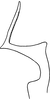 Stylus: Stylus. (Observation).
