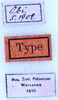 CollectionObject 1572407; ad904047-b965-4db5-8fb6-6ccbdbddad03: labels (syntype). (CollectionObject).