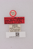 CollectionObject 1477809; NHMUK015982505, debcfed8-d2af-4038-b86c-22a880126fac: labels (holotype). (CollectionObject).