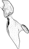 Stylus: !! display not done !! on Metalimnus marmoratus (Flor, 1861): Stylus. (Observation).