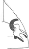 Stylus on Diacra gazellaecornis Dlabola, 1984: Stylus. (Observation).