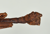 CollectionObject 1557491; 95bc6885-bb4f-468a-b81e-b144536c8e95: copyright USNM, Washington. (CollectionObject).