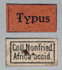 CollectionObject 1501027; 21f7e778-4953-471b-b38f-d5269e612431: labels (holotype). (CollectionObject).