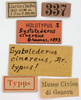 CollectionObject 1506790; 03a8b3fe-7536-4395-9c39-a40ae456a490: labels (holotype). (CollectionObject).