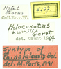 CollectionObject 1532636; 2ec43788-8715-41a9-b0fc-d8f6e2b7e8f2: labels (holotype). (CollectionObject).