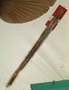 CollectionObject 1591103; 79b660e6-31fe-432a-b40e-faf8a643cf62: copyright NMW, Vienna. female (paralectotype). (CollectionObject).;CollectionObject 1591104; 99601963-2824-42d3-9a8a-09c9245ab290: copyright NMW, Vienna. female (paralectotype). (CollectionObject).