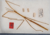 CollectionObject 1560741; 664ade49-f05f-4b0f-a5f8-289b7aaa2e39: copyright USNM, Washington. female (holotype). (CollectionObject).
