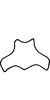 Connective on Eupteryx (Eupteryx) multifaciata Sawai Singh, 1969: Connective. (Observation).