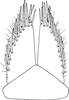Subgenital plate, ventral view on Elymana pallidipennis (Lindberg, 1929): Subgenital plate. (Observation).