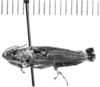 CollectionObject 1524903; cc9b7f39-3819-44c4-b480-dd99444fd1b0: female, lateral view (holotype). (CollectionObject).