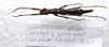 CollectionObject 1584694; f753e7ad-15e5-48b8-a039-6ff775f90422: (CollectionObject).