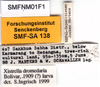 CollectionObject 1505461; f1a5cc20-0eb9-4e4a-9061-382523f26777: labels. (CollectionObject).