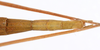 CollectionObject 1558529; 70342c40-345f-4834-95c5-42c90ee5d0a4: copyright ZMUH, Hamburg. female: end of abdomen, dorsal view (holotype). (CollectionObject).
