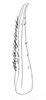 Ceuthophilus (Ceuthophilus) pallidus Thomas, 1872: Fig. 308 (southwestern phase, Bent, NM). subdistal cephalic spur of caudal tibia. (Otu).