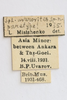 CollectionObject 1593061; d5abc55f-0867-4865-a3db-2cc601a64c8f: labels (paratype). (CollectionObject).