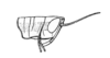 Eumastusia koebelei koebelei (Rehn, 1909): Fig. 27 (after type). female, head and pronotum, lateral view. (Otu).