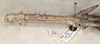 CollectionObject 1558192; 239969ca-3d18-48f6-ae9b-494b837aea35: copyright St. Petersburg. synonym Acrophylla oxyacantha female: head and thorax (paralectotype). (CollectionObject).