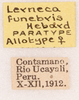 CollectionObject 1566468; 565c729b-a33b-4eb1-b7e6-a3fe4bbbbe6e: labels (allotype). (CollectionObject).