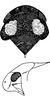 Head: !! display not done !! on Penthimia nigra (Goeze, 1778): Head, pro-, and mesothorax. (Observation).