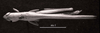 CollectionObject 1524407; 06627086-6473-4683-890e-6c95d25b2eeb: Image C.S. Carbonell. male, dorsal view (holotype of Belosacris aurantipes). (CollectionObject).