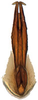 Aedeagus, ventral view: !! display not done !! on Paraboloponina Ishihara, 1953: Parabolopona webbi, aedeagus, caudally (INHS). (Observation).