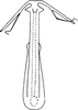 Aedeagus, ventral view: Aedeagus, ventral view. (Observation).