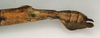 CollectionObject 1559565; NMW 1053, 88677673-e8a5-497e-921b-9793e64f7ff7: copyright NMW, Vienna. female: end of abdomen, lateral view of Cercophylla sphalera (holotype). (CollectionObject).